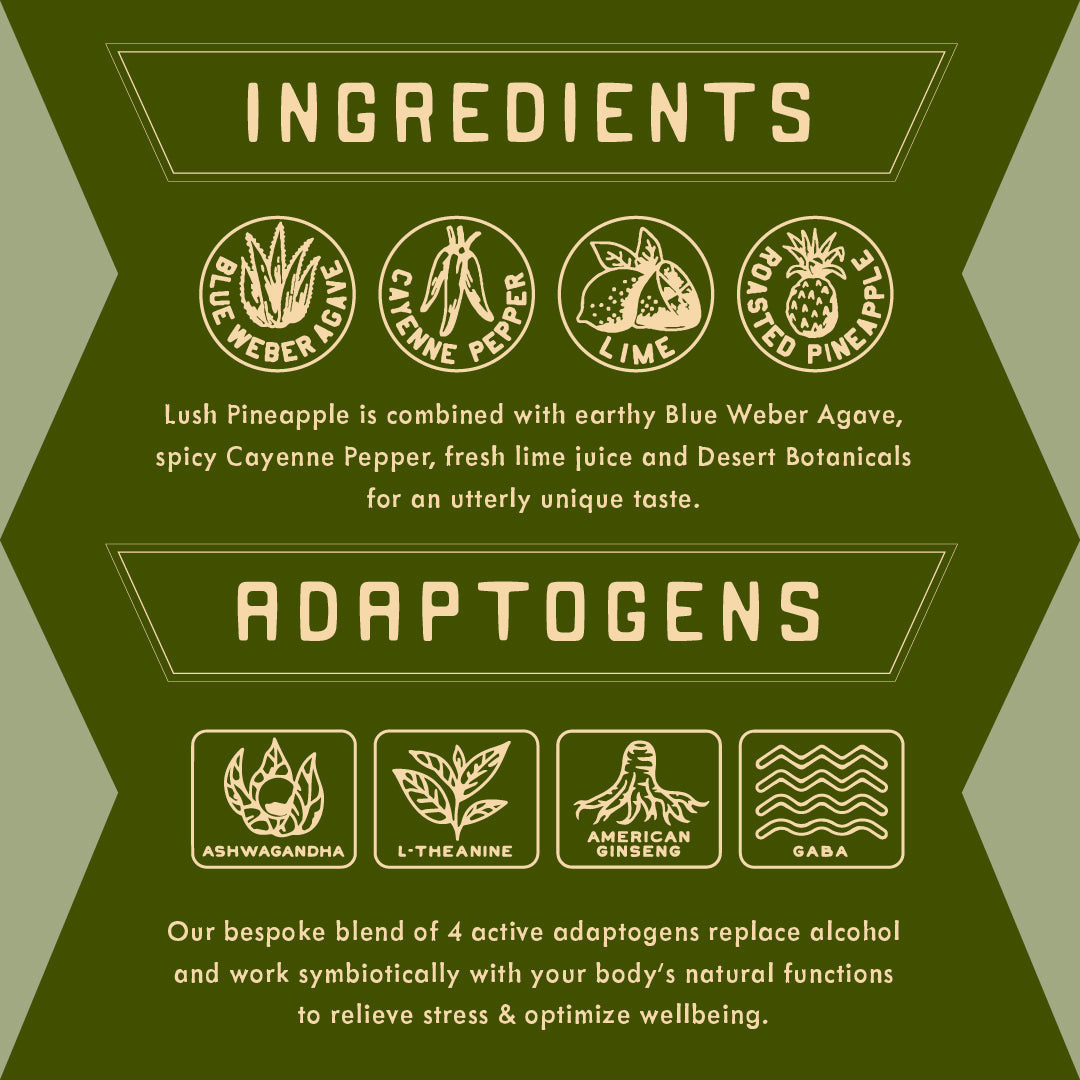 Spiced Piñarita by PARCH SPIRITS CO.